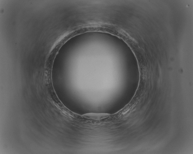 X0000073711208200608171129