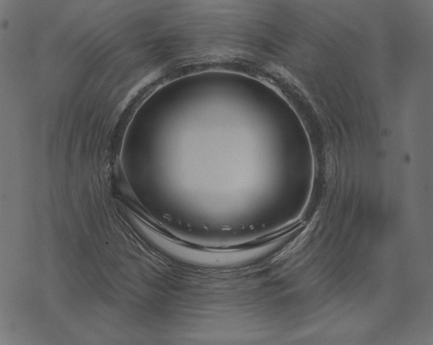 X0000073711210200608171129