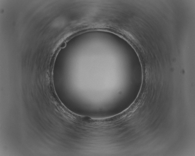 X0000073711212200608171129