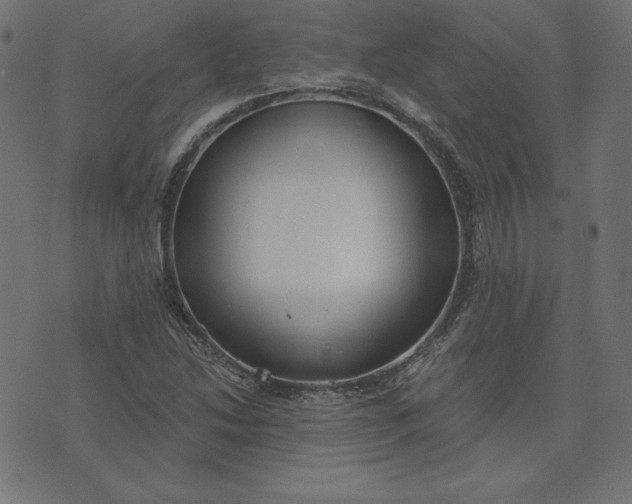 X0000073711214200608171130