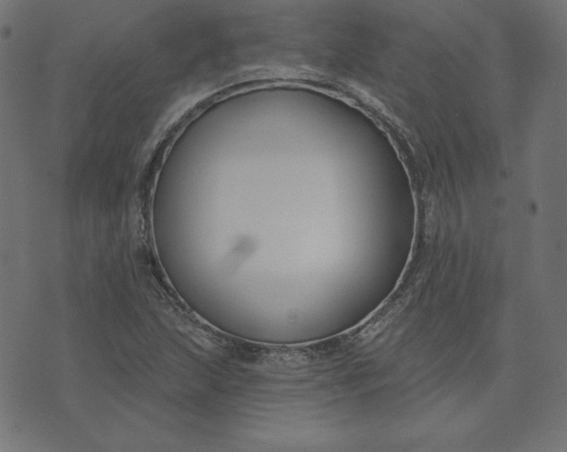 X0000073711215200608171130