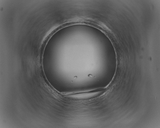 X0000073711216200608171130