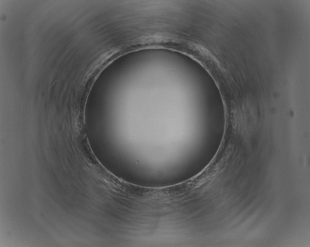 X0000073711217200608171130