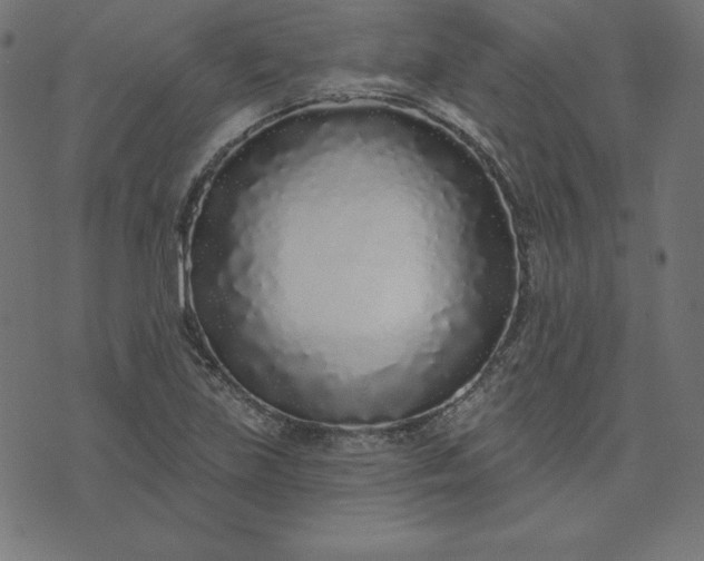 X0000073711219200608171130