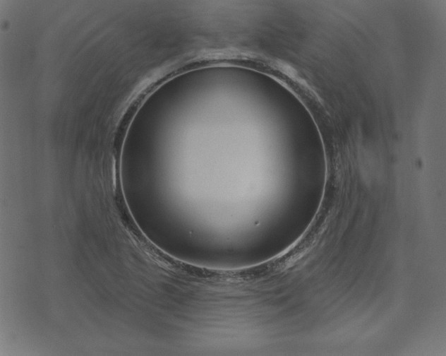 X0000073711221200608171130