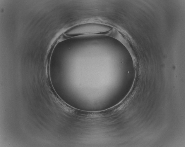 X0000073711224200608171130