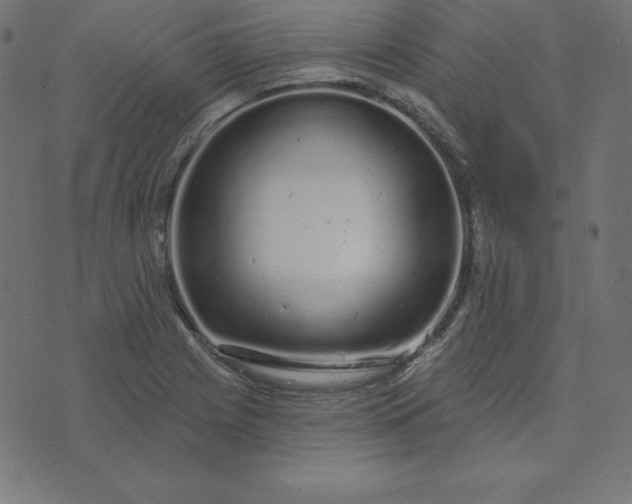 X0000073711225200608171130