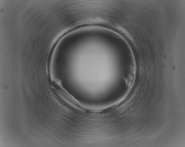 X0000073711226200608171130