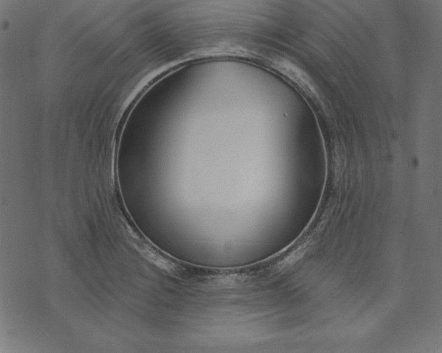 X0000073711228200608171130