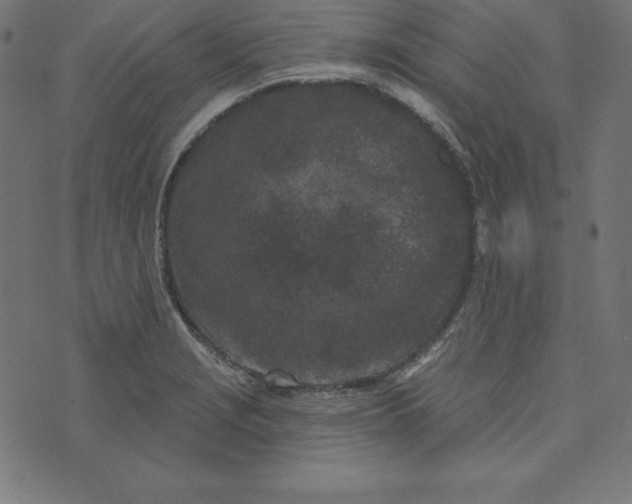 X0000073711229200608171130