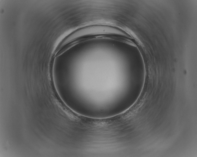 X0000073711230200608171130