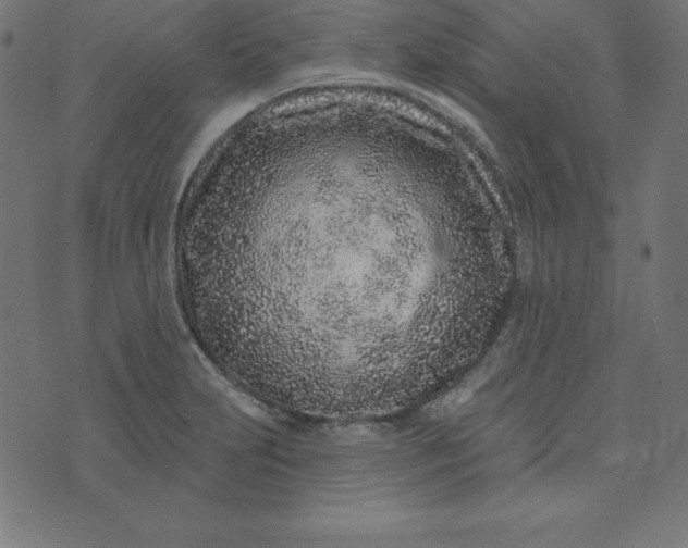 X0000073711231200608171130