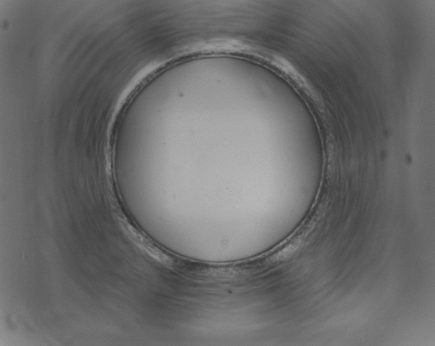 X0000073711232200608171130