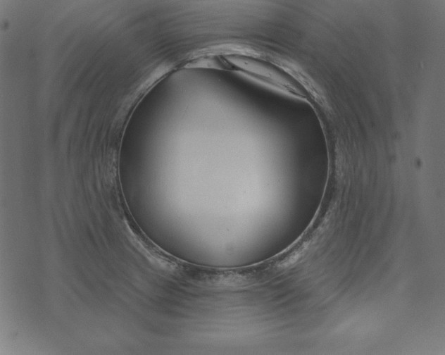 X0000073711233200608171130