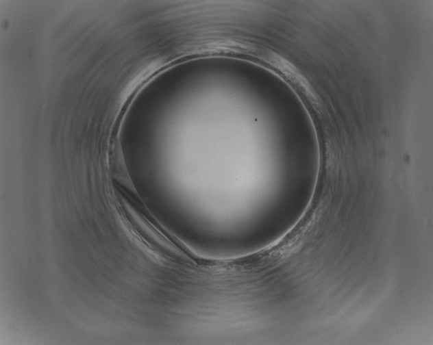 X0000073711234200608171130