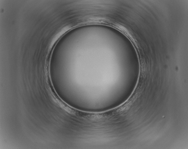 X0000073711235200608171130