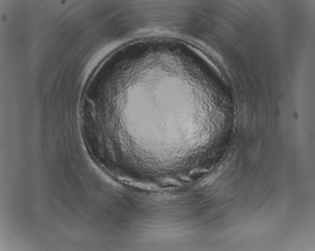 X0000073711239200608171130