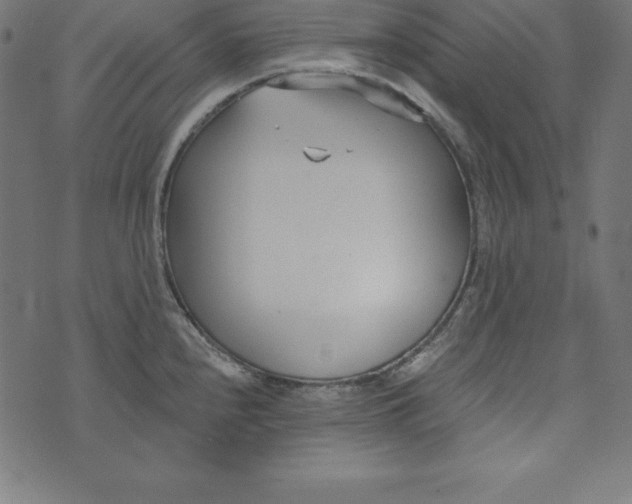 X0000073711240200608171130