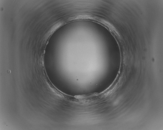 X0000073711241200608171130