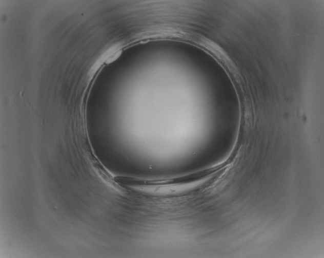 X0000073711242200608171130