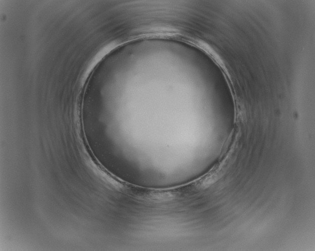 X0000073711243200608171130