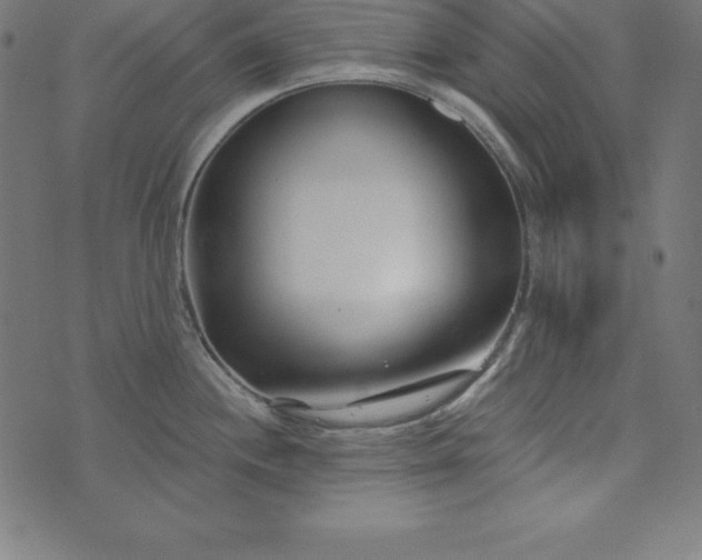 X0000073711244200608171130