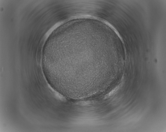 X0000073711245200608171130