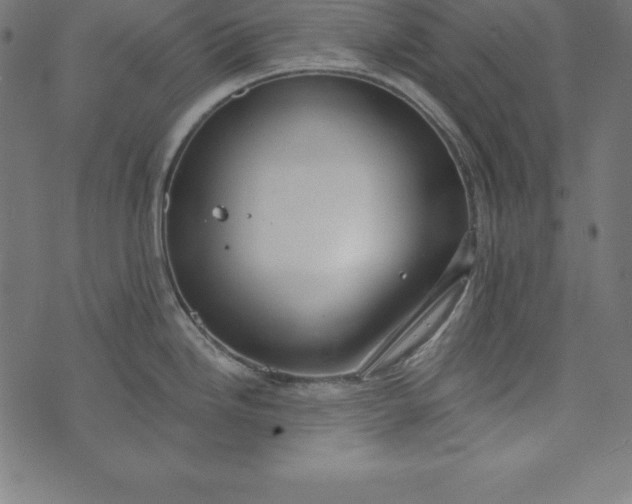 X0000073711246200608171130