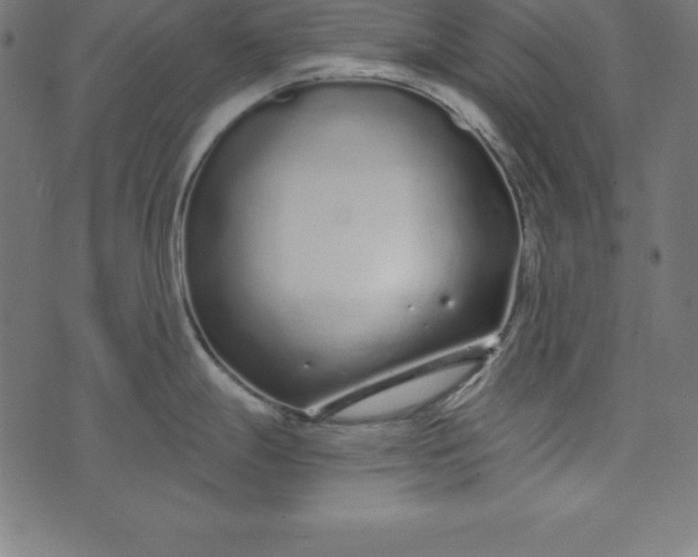 X0000073711247200608171130