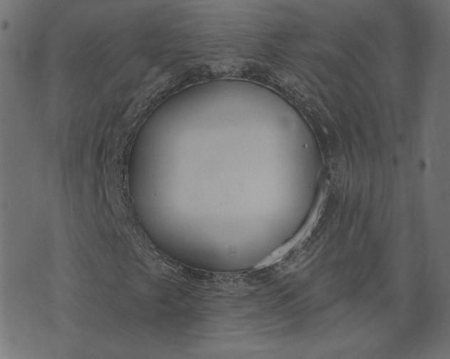 X0000073711249200608171129