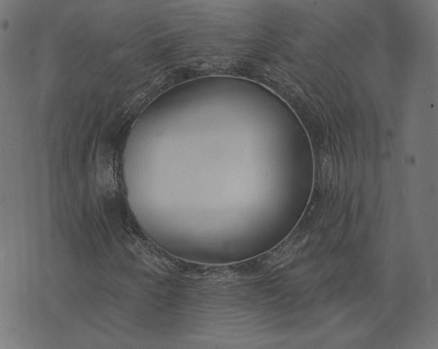 X0000073711250200608171129