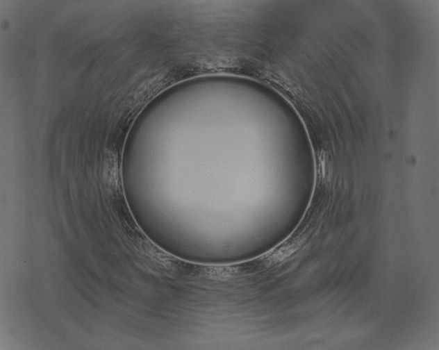 X0000073711251200608171129