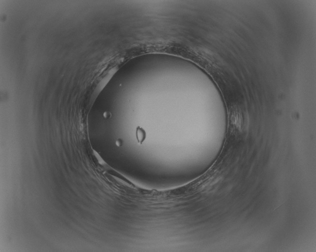 X0000073711252200608171129