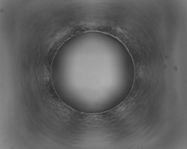 X0000073711253200608171129