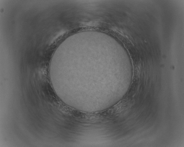 X0000073711254200608171129