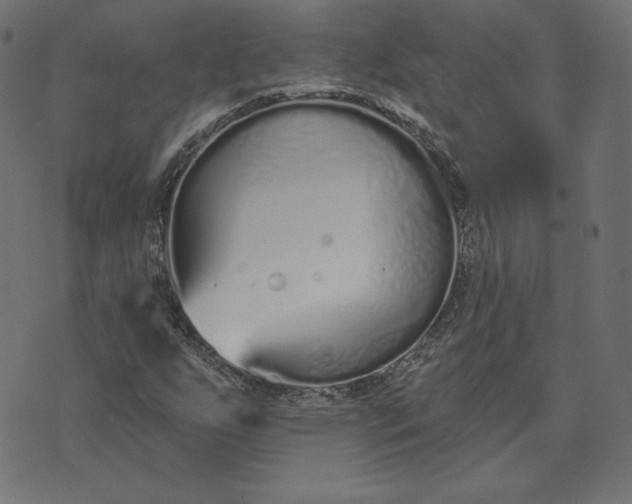 X0000073711255200608171129