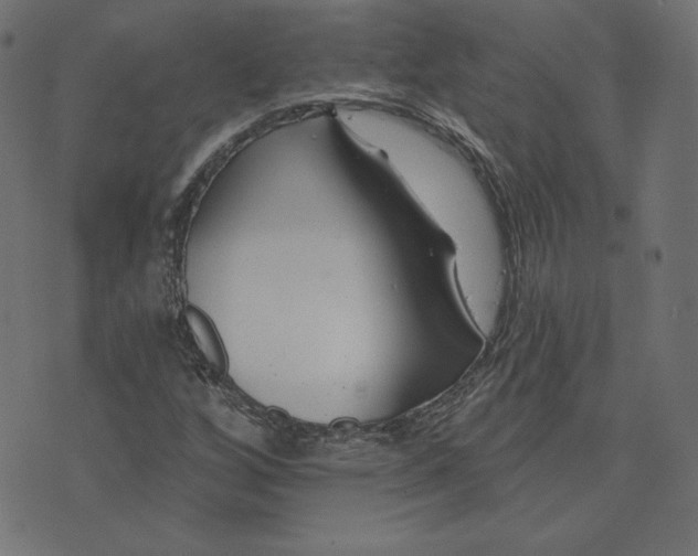 X0000073711256200608171129