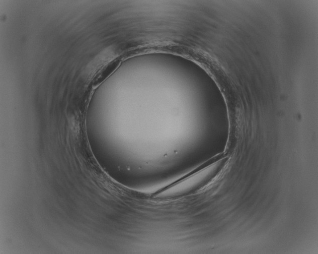 X0000073711257200608171129