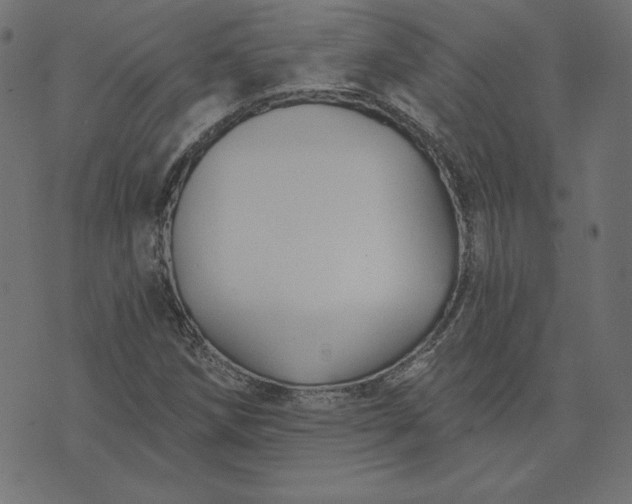 X0000073711258200608171129