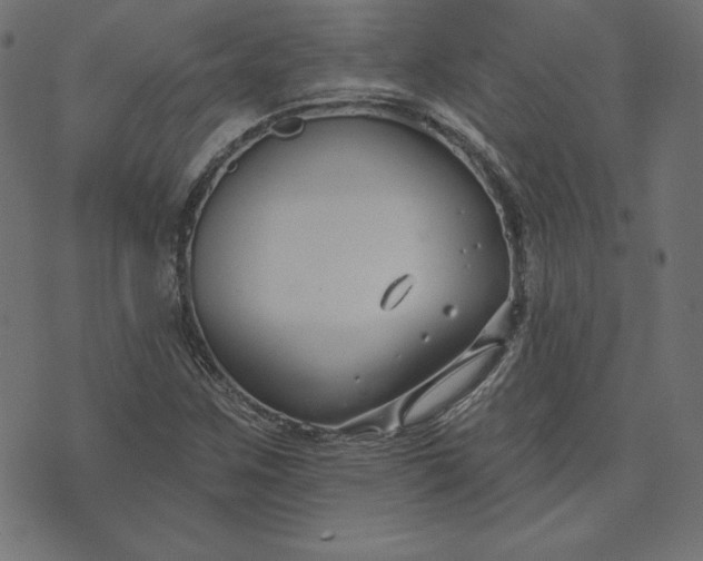 X0000073711259200608171129