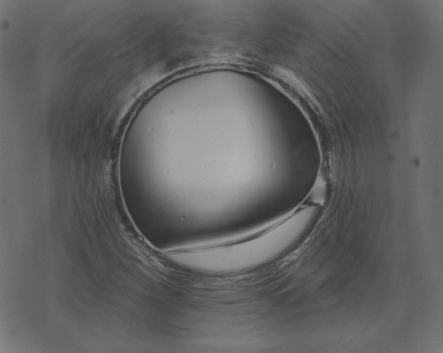 X0000073711260200608171129