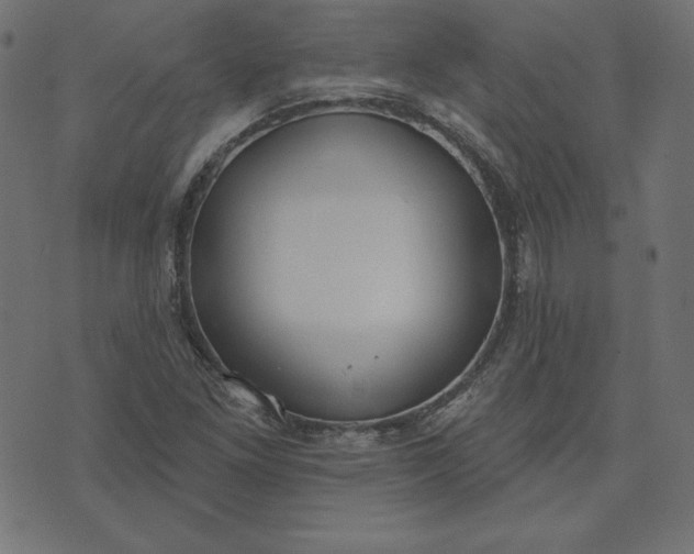 X0000073711261200608171129