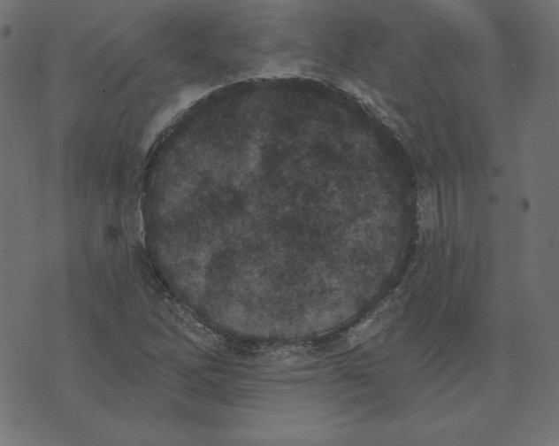 X0000073711262200608171129