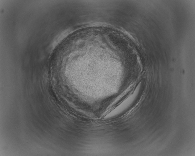 X0000073711263200608171129