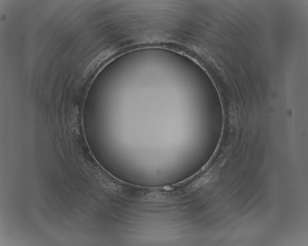 X0000073711265200608171129