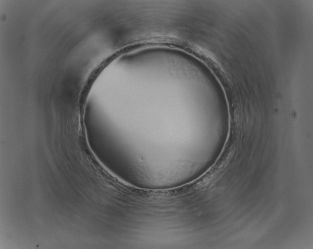 X0000073711267200608171129