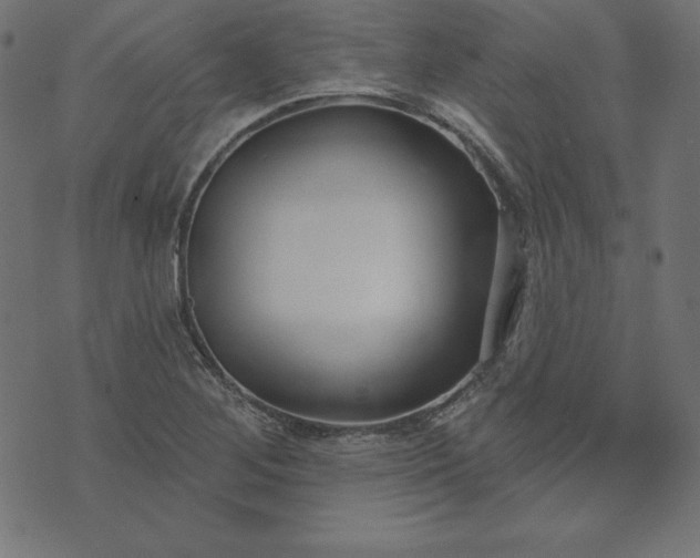 X0000073711268200608171129