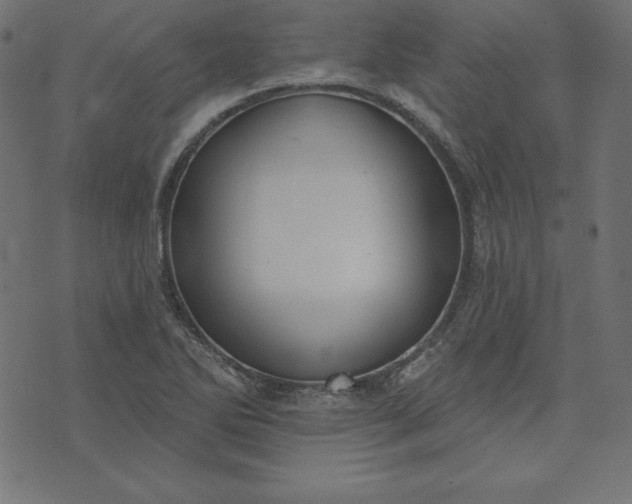 X0000073711270200608171129