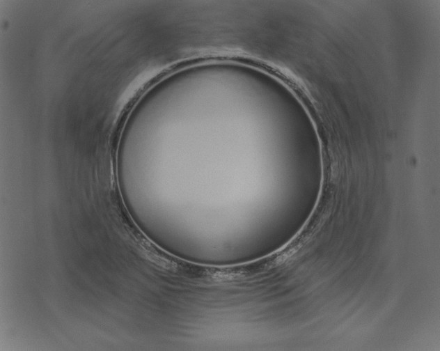 X0000073711271200608171129