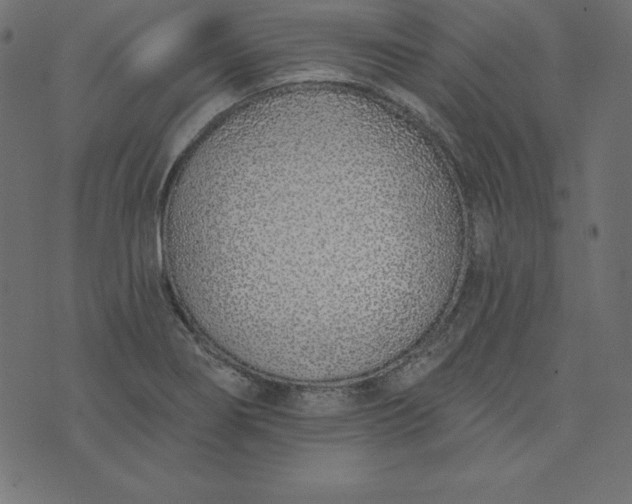 X0000073711274200608171129